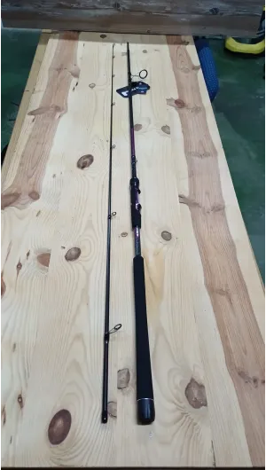 CAÑA SPINING  DOS TRAMOS