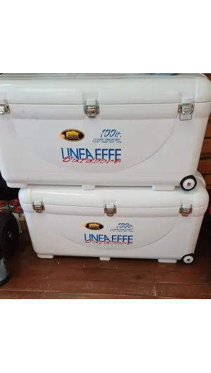 NEVERA LINEA EFFE 100 LITROS