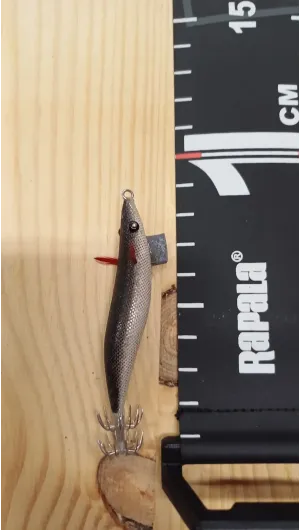 PECES ARTESANOS ASTURIANOS