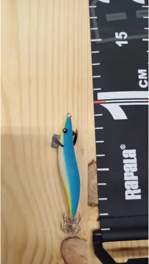 PECES ARTESANOS ASTURIANOS