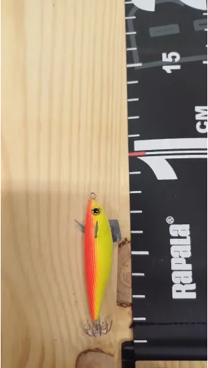 PECES ARTESANOS ASTURIANOS