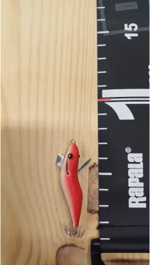 PECES ARTESANOS ASTURIANOS