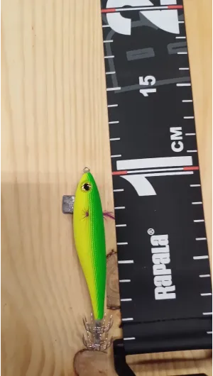 PECES ARTESANOS ASTURIANOS